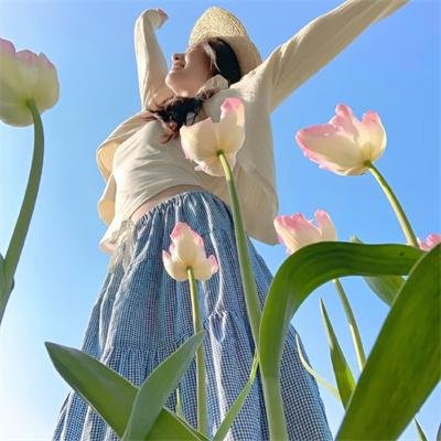 野狗们